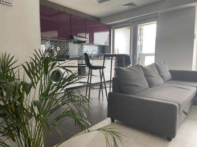 Cayan Tower Luxury Apartment With Sea View Dubaï Extérieur photo